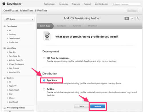 选择App Store，点击Continue